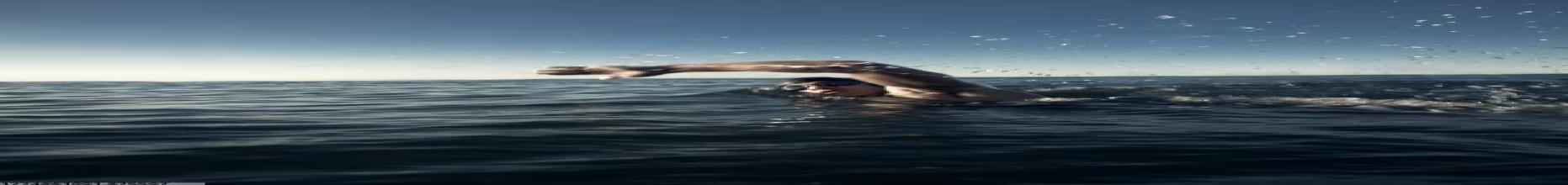 猫先生MRCAT运动产品多元选择